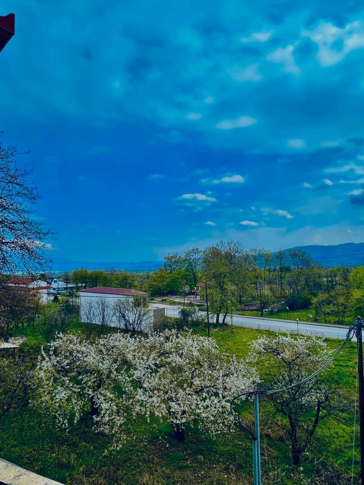 Hotel Athina Káto Loutrákion エクステリア 写真